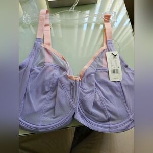 Women's Underwire Bra with Pink Trim - Lavender